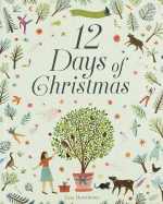 12 days of Christmas