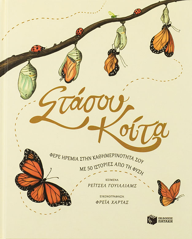 Στάσου, κοίτα.